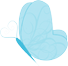 Minute Papillon